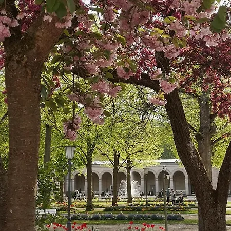 Gala, Ruhige Lage, Stadtnah * Bad Kissingen