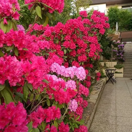 Appartement Gala, Ruhige Lage, Stadtnah Bad Kissingen